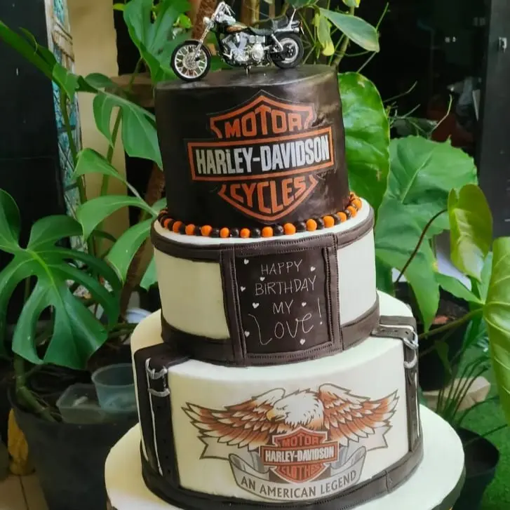 Elegant Custom Cake 2